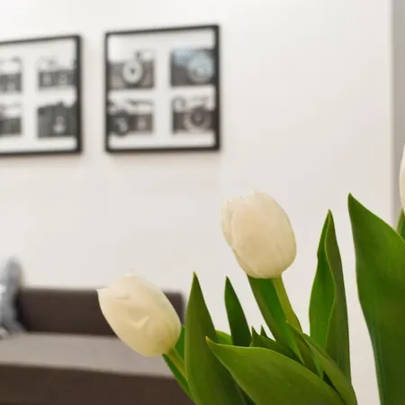 Apartment Easylife - Monolocale Confortevole E Rilassante Nel Quartiere Solari, Dotato Di Ogni Comfort *